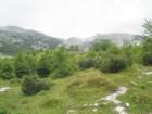 tolminskikuk33_small.jpg