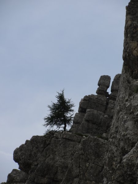 triglavsevernastena18.jpg