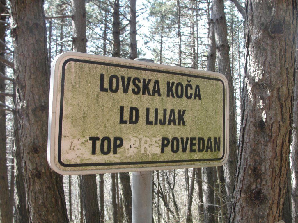 trnovskaplanota54.jpg