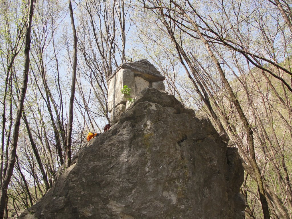 trnovskaplanota77.jpg