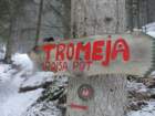 tromejape40_small.jpg