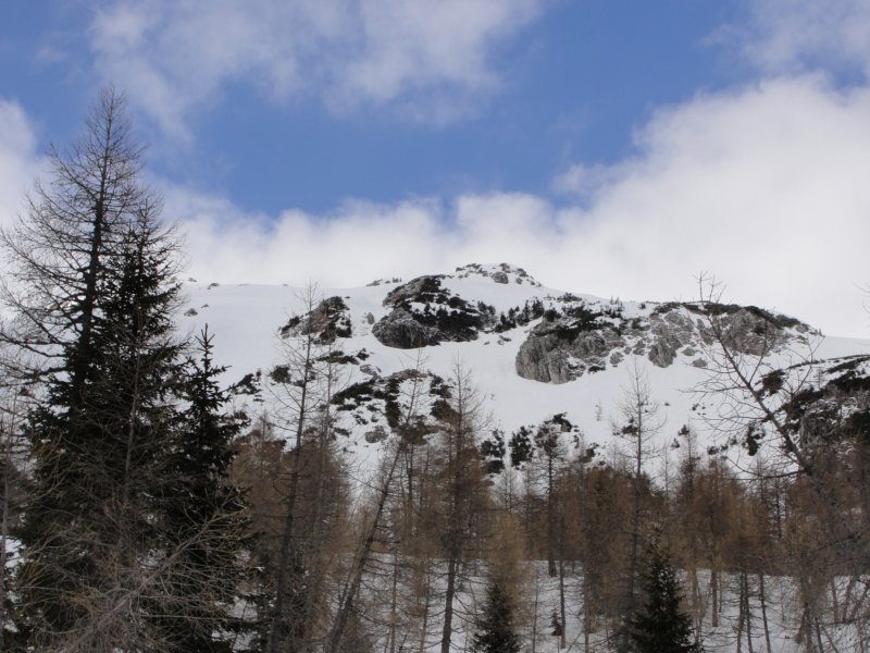 pokljuka1.jpg