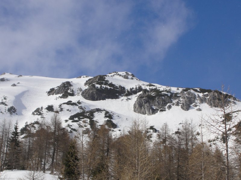 pokljuka21.jpg