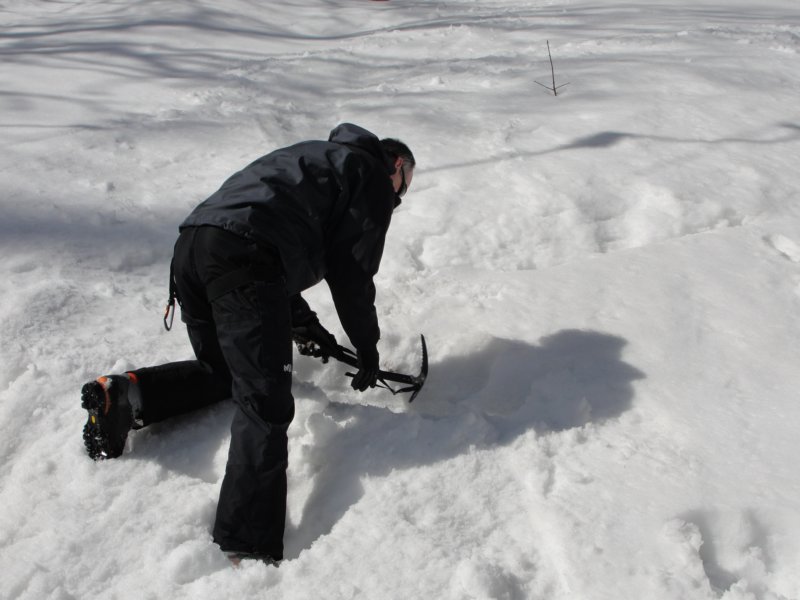 pokljuka39.jpg