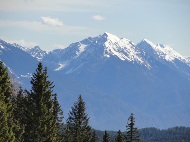 pokljuka42.jpg