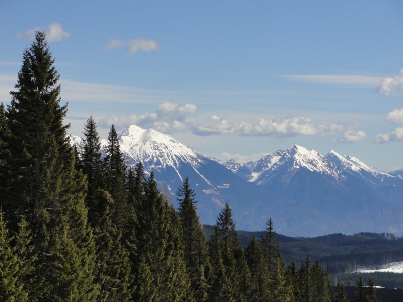 pokljuka46.jpg