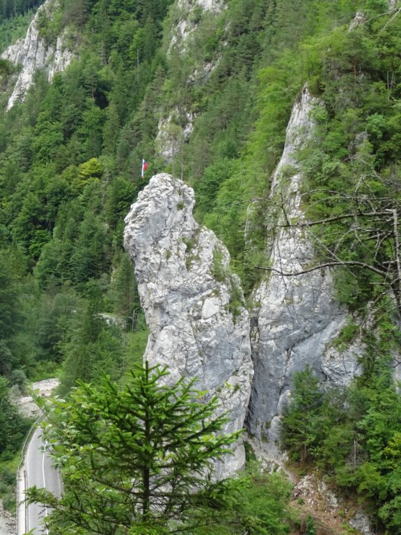 naute40.jpg