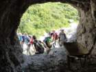 velikabavha80_small.jpg
