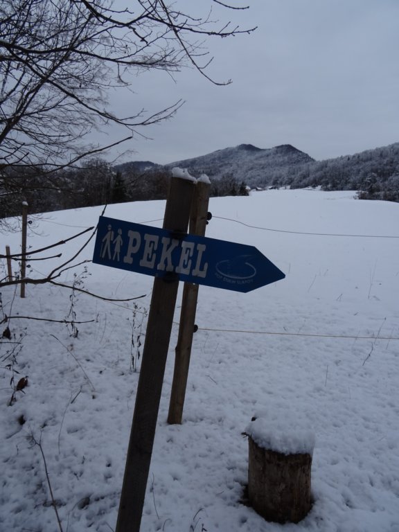 velikijavornik39.jpg