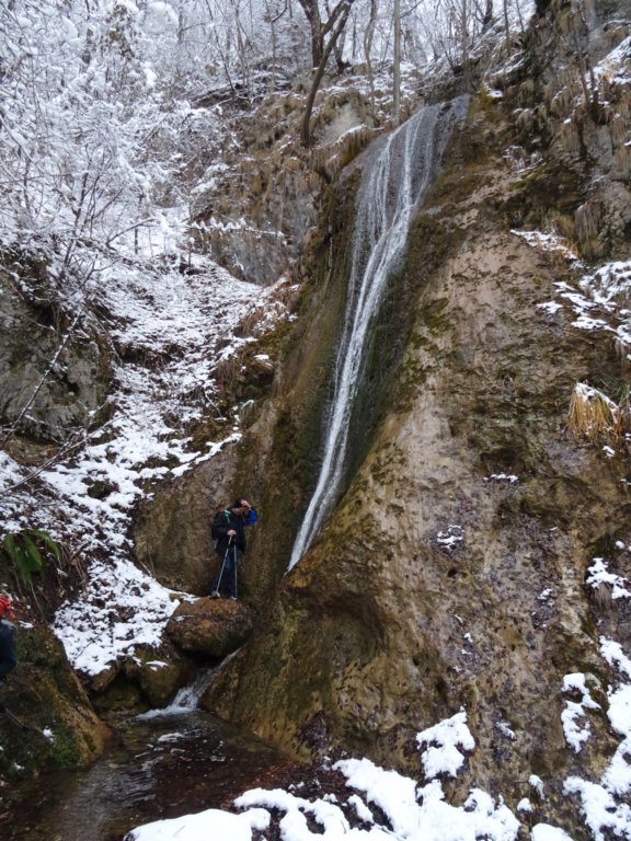velikijavornik50.jpg