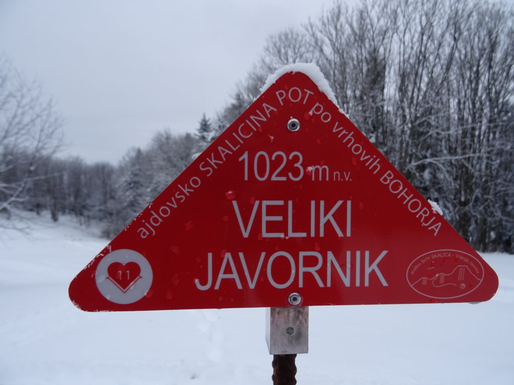 velikijavornik58.jpg