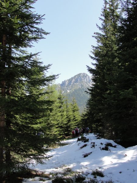 velikiinmalivrh46.jpg