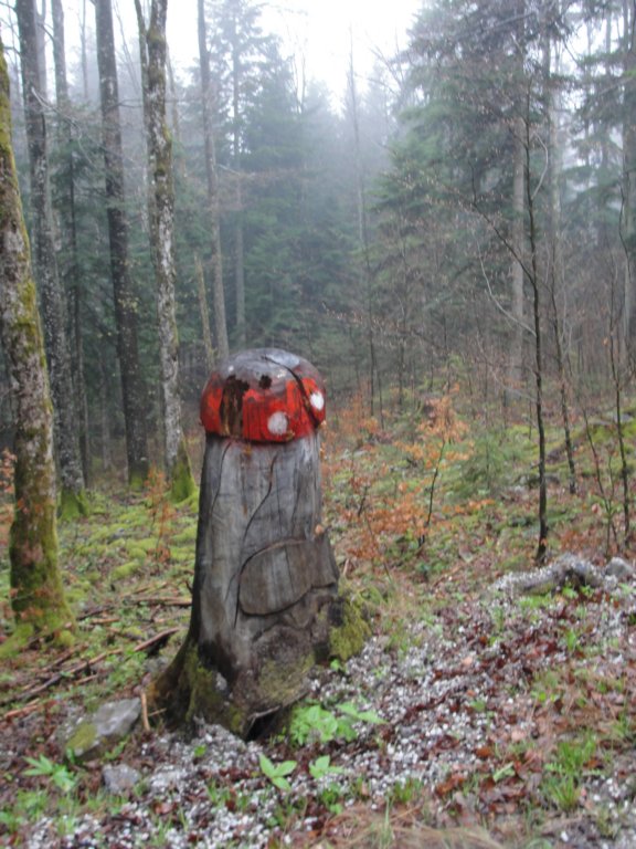 velikirog17.jpg