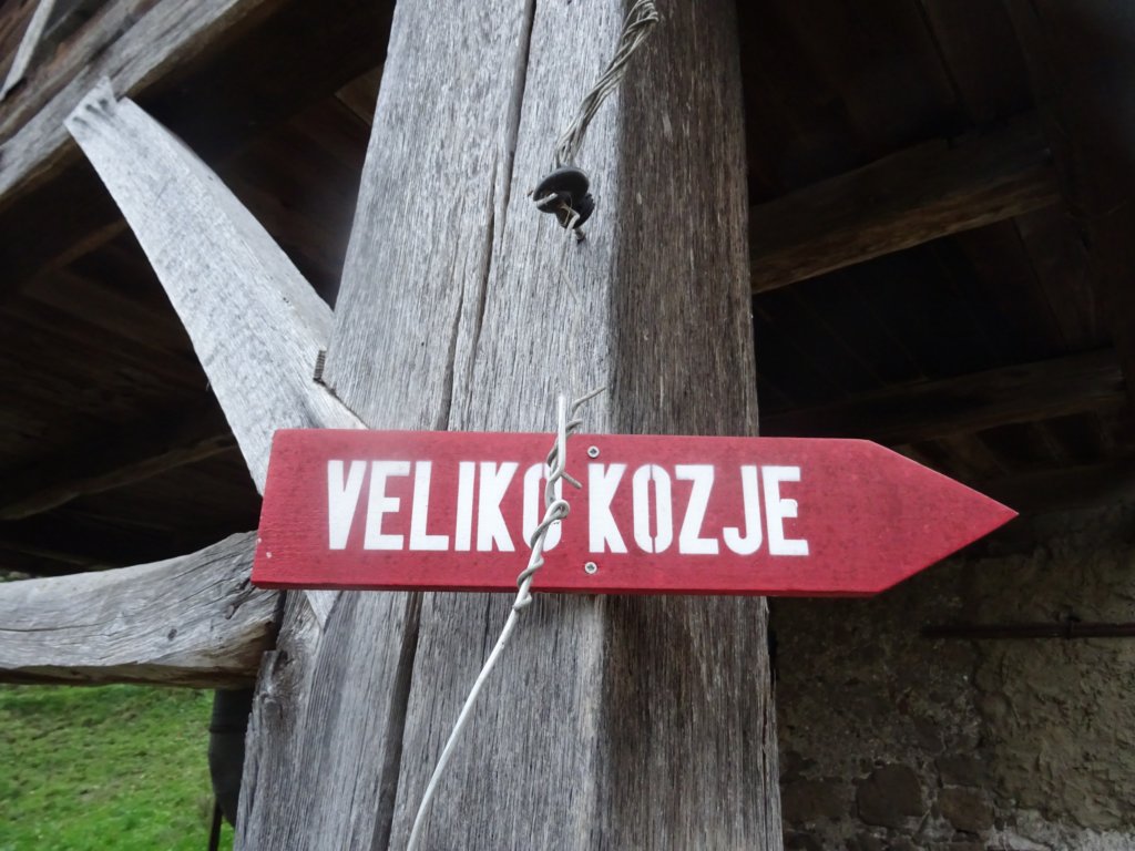 velikokozje20213.jpg