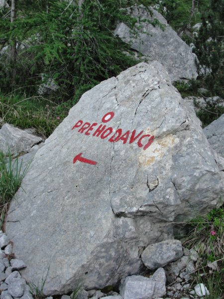 velikopije14.jpg