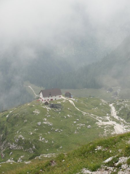 vi014.jpg