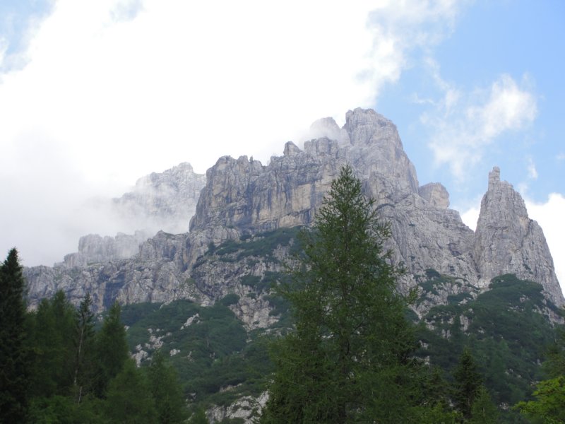 vi020.jpg