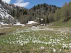 viarje201227_small.jpg