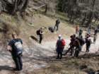 viarje201231_small.jpg