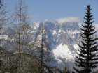 viarje201235_small.jpg