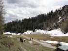 viarje201274_small.jpg