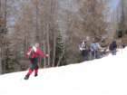 viarje201351_small.jpg