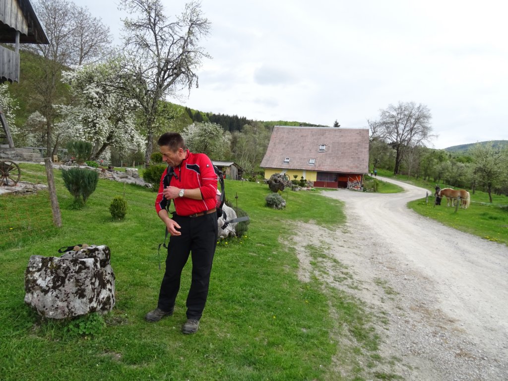pomedvedovihstopinjah32.jpg