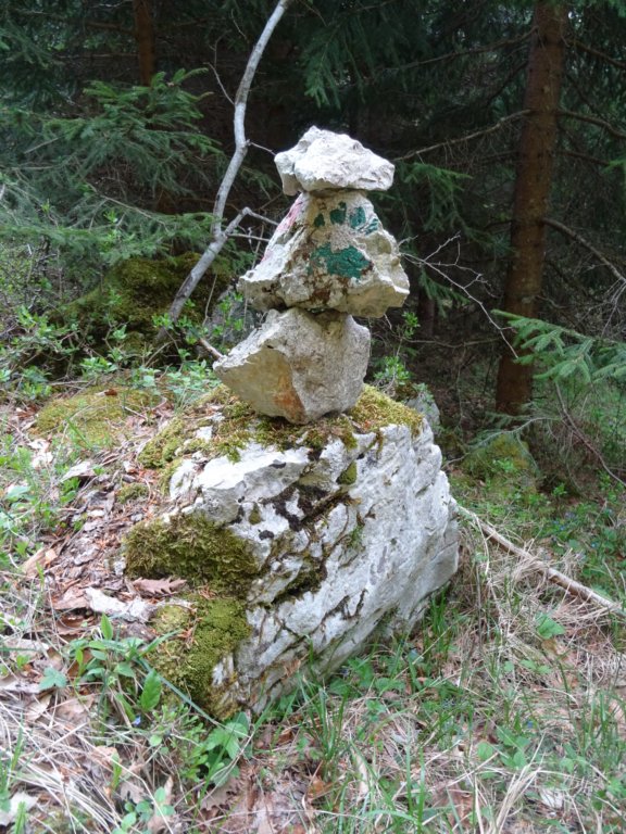 pomedvedovihstopinjah6.jpg