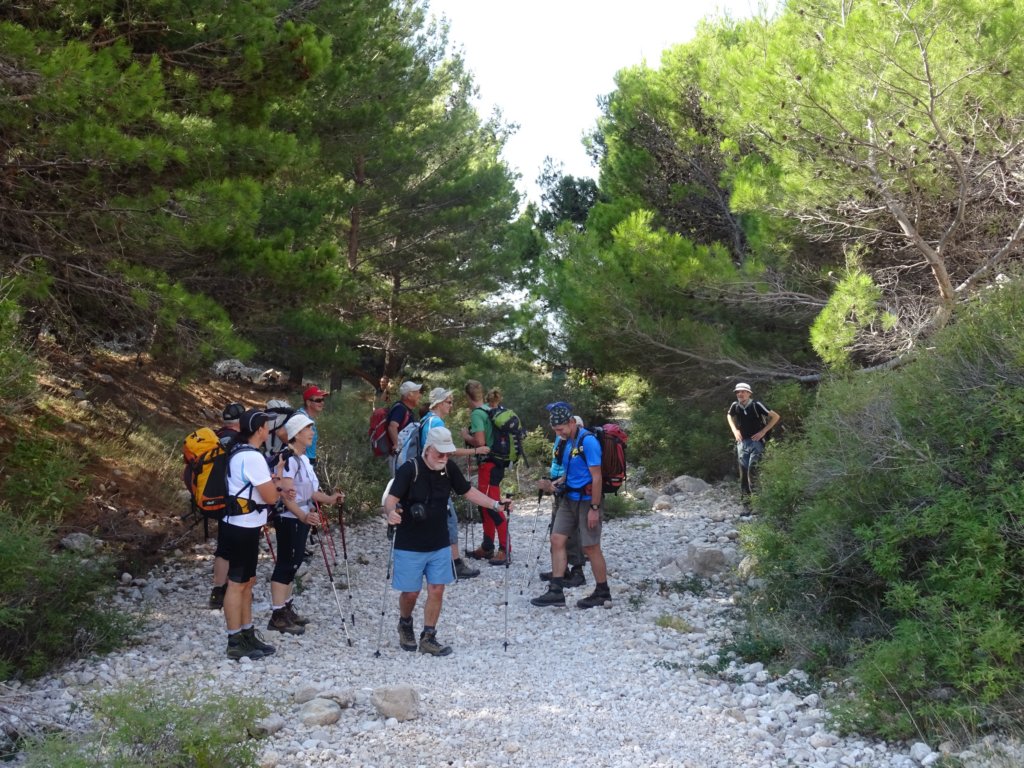 velavrenica24.jpg
