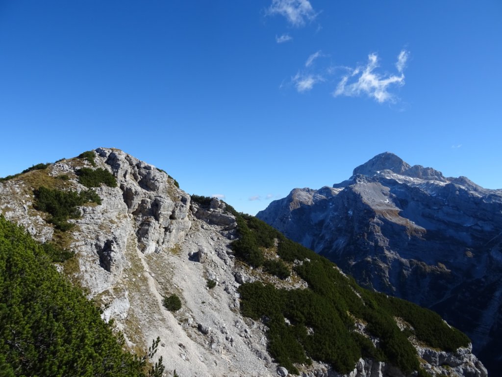 zadnjikiozebnik9.jpg