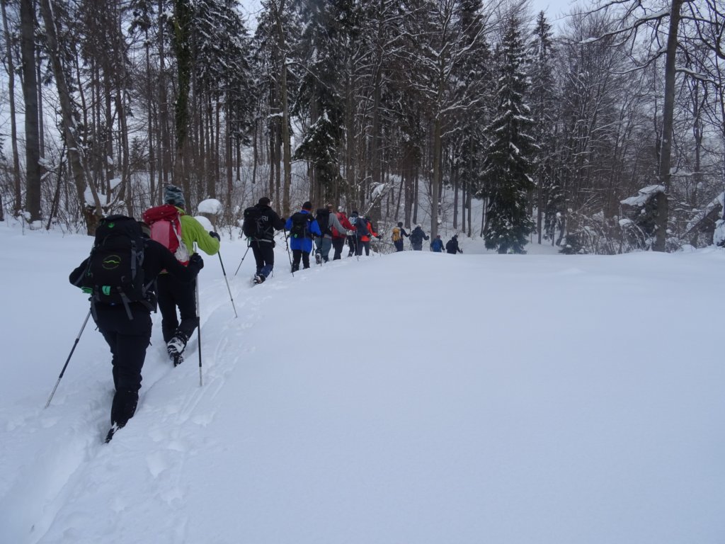 zasavskasvgora47.jpg