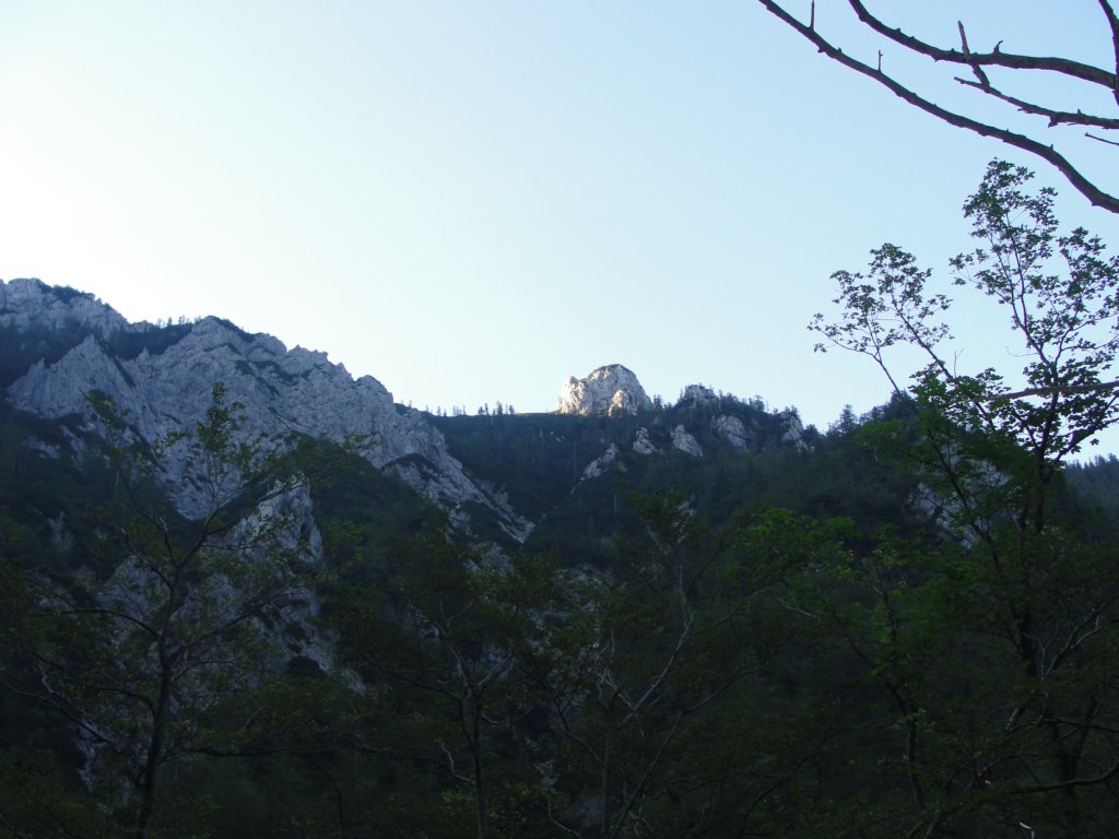 zelenikepice1.jpg