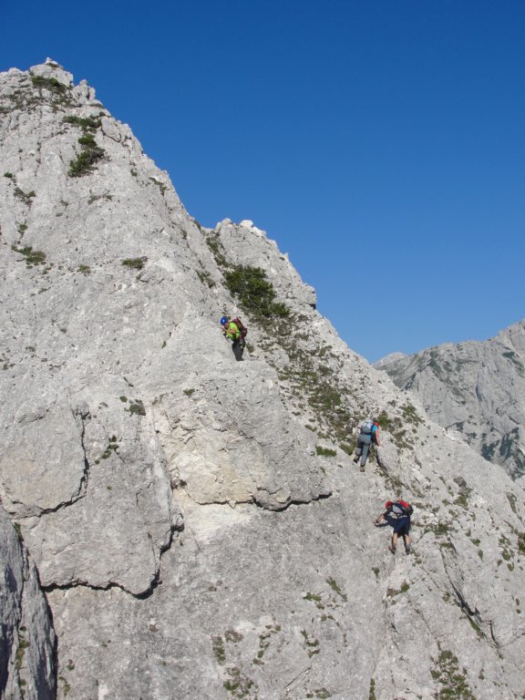 zelenikepice17.jpg