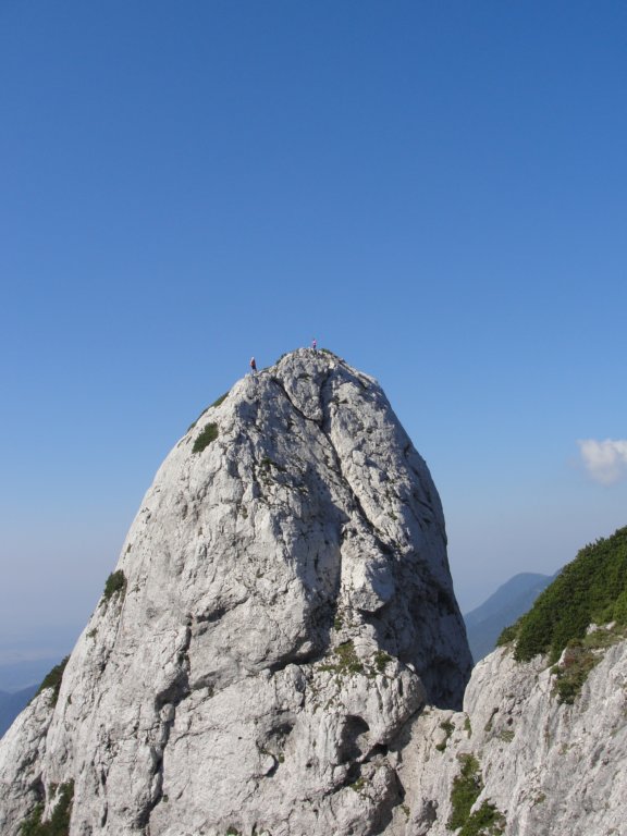 zelenikepice19.jpg