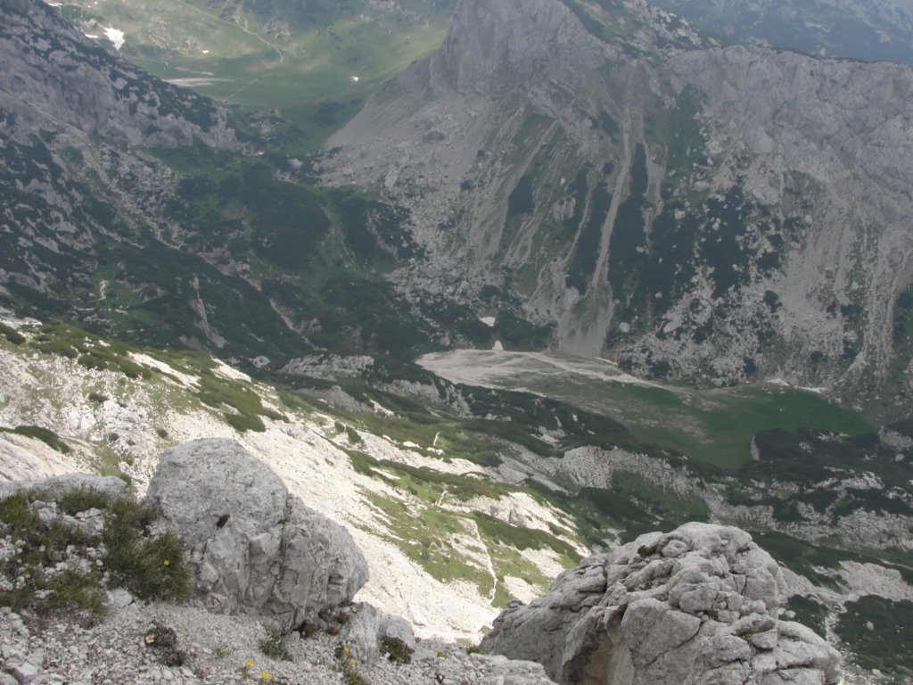 zelenikepice27.jpg