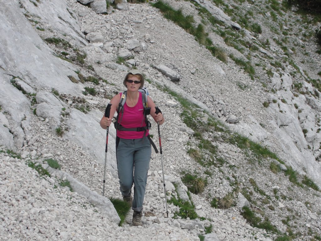 zelenikepice39.jpg