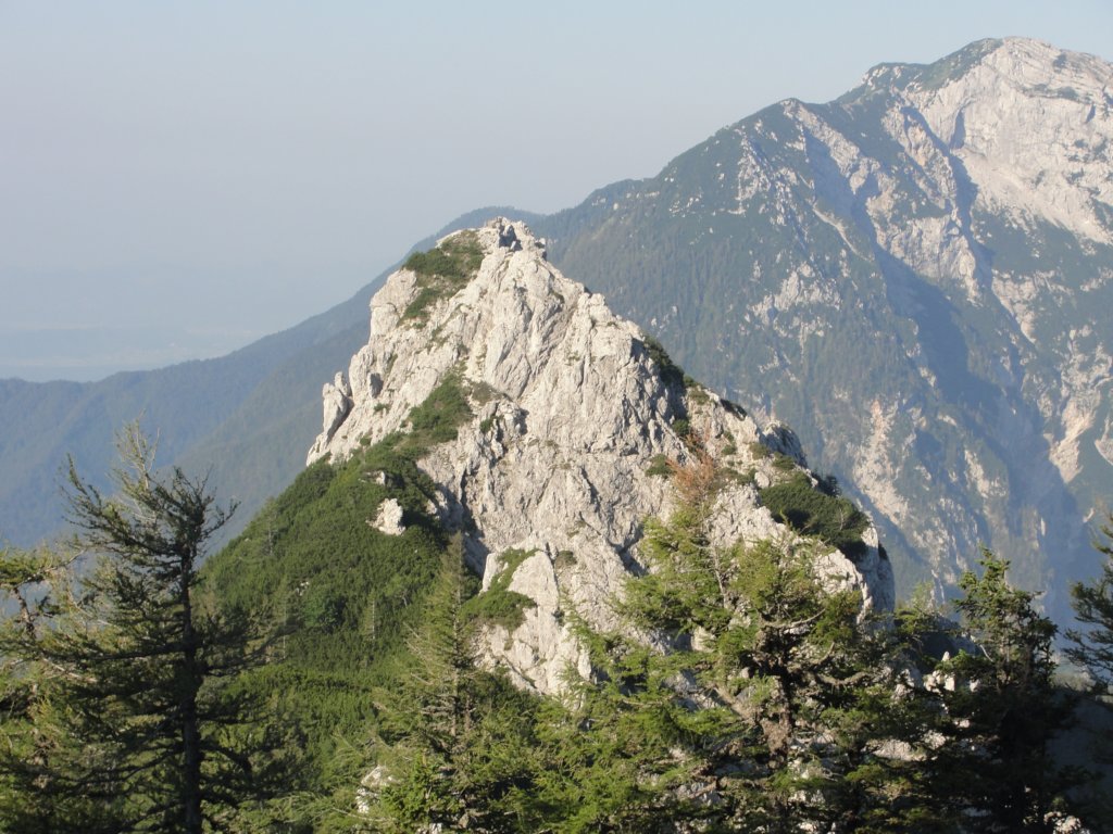 zelenikepice4.jpg