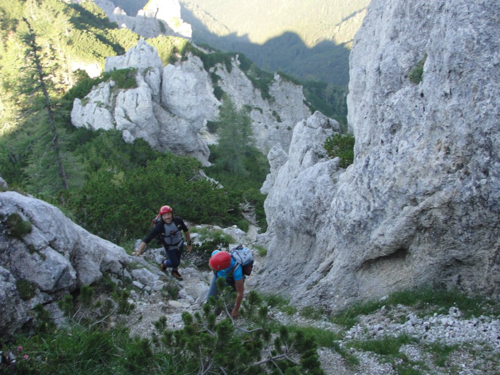zelenikepice8.jpg