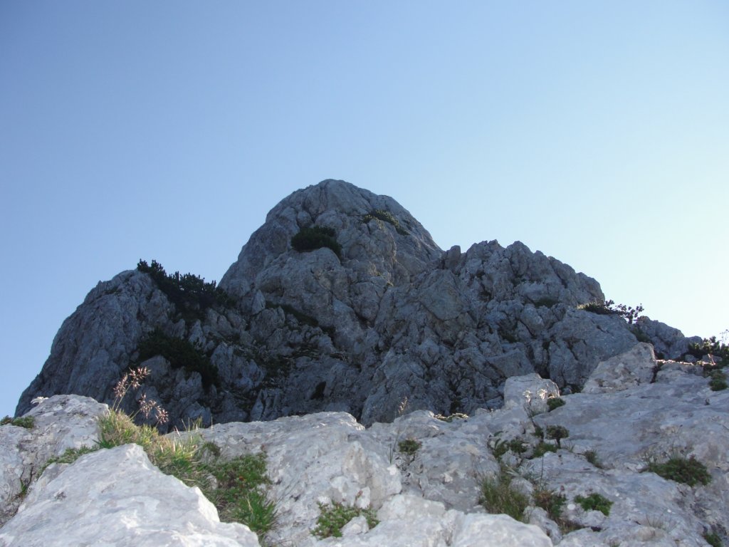 zelenikepice9.jpg