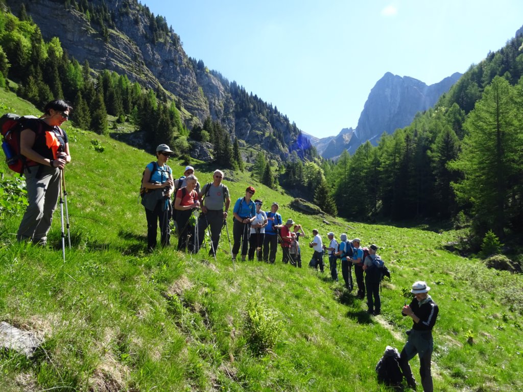 dolinabut14.jpg