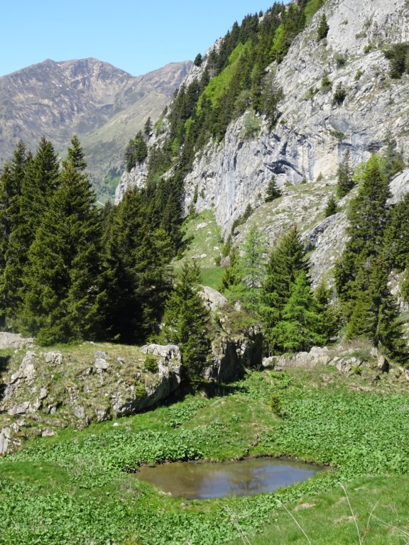 dolinabut42.jpg
