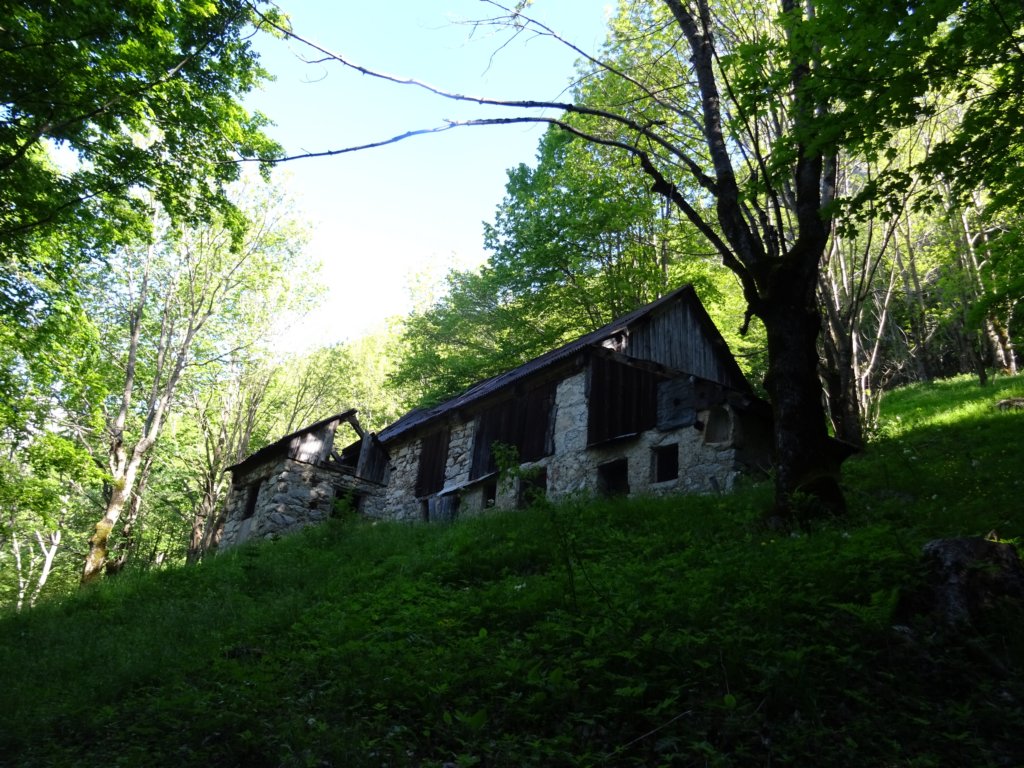 dolinabut5.jpg