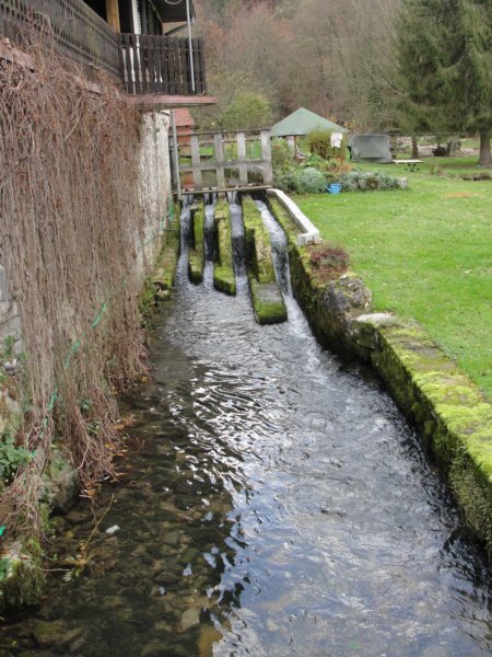 odsvanedosvane023.jpg