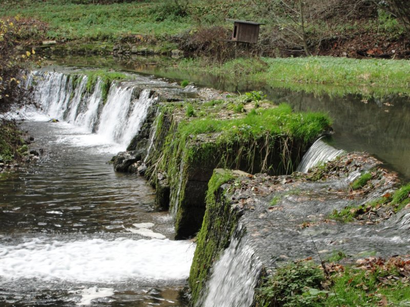 odsvanedosvane030.jpg